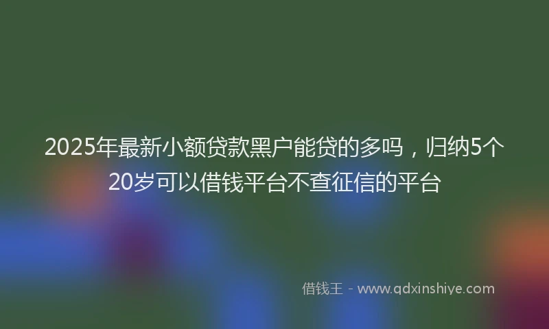 2025年最新小额贷款黑户能贷的多吗，归纳5个20岁可以借钱平台不查征信的平台