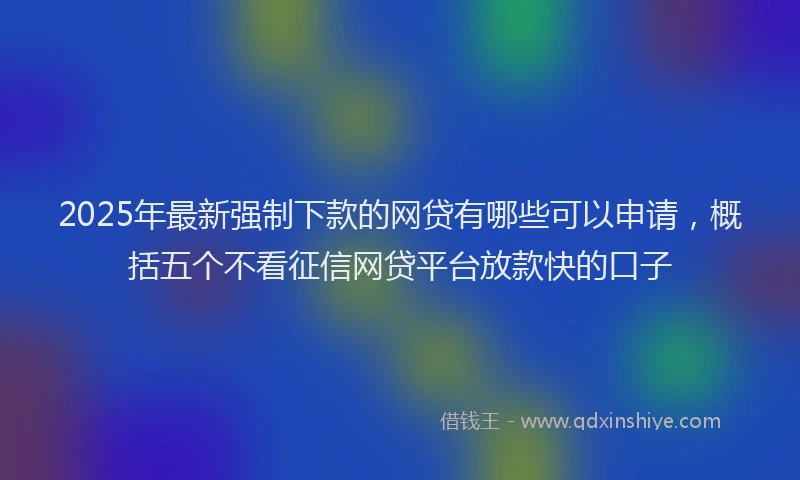 2025年最新强制下款的网贷有哪些可以申请，概括五个不看征信网贷平台放款快的口子