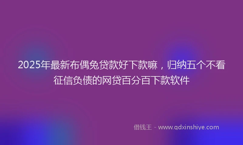 2025年最新布偶兔贷款好下款嘛，归纳五个不看征信负债的网贷百分百下款软件