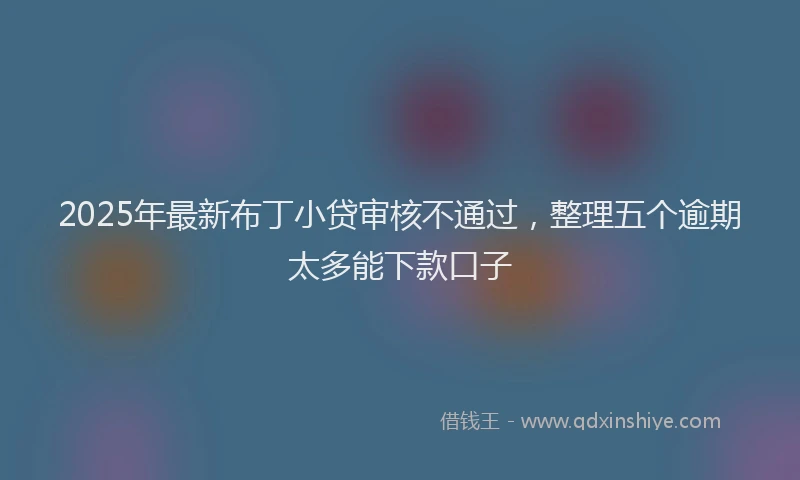 2025年最新布丁小贷审核不通过，整理五个逾期太多能下款口子