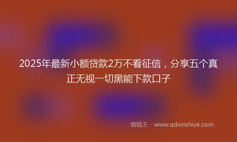 2025年最新小额贷款2万不看征信，分享五个真正无视一切黑能下款口子