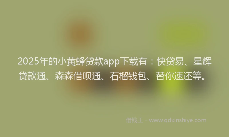 2025年的小黄蜂贷款app下载有：快贷易、星辉贷款通、森森借呗通、石榴钱包、替你速还等。