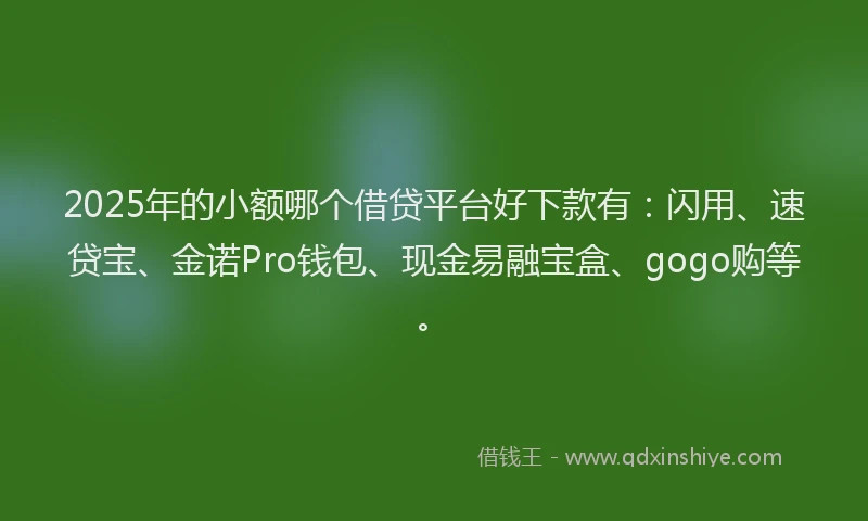 2025年的小额哪个借贷平台好下款有：闪用、速贷宝、金诺Pro钱包、现金易融宝盒、gogo购等。
