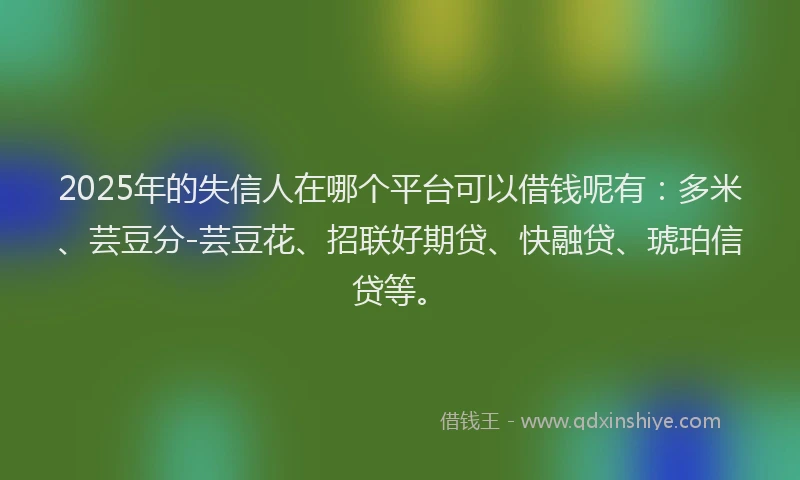 2025年的失信人在哪个平台可以借钱呢有：多米、芸豆分-芸豆花、招联好期贷、快融贷、琥珀信贷等。