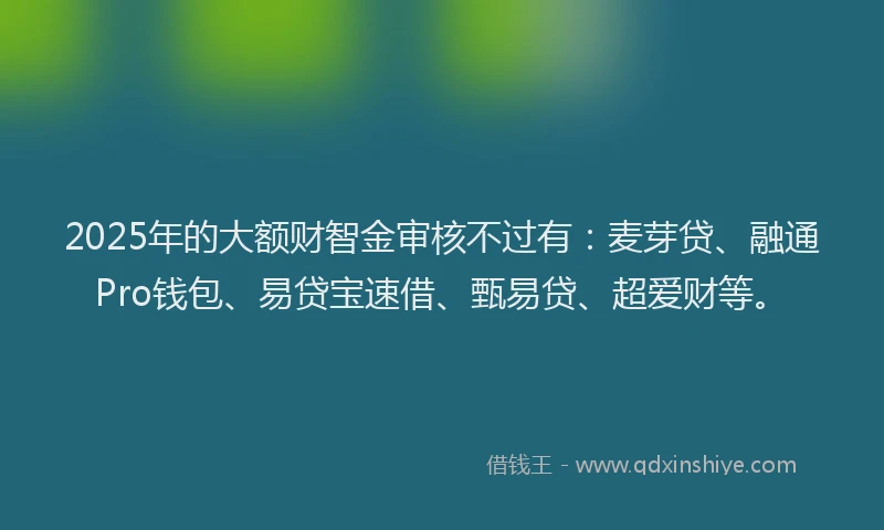 2025年的大额财智金审核不过有：麦芽贷、融通Pro钱包、易贷宝速借、甄易贷、超爱财等。