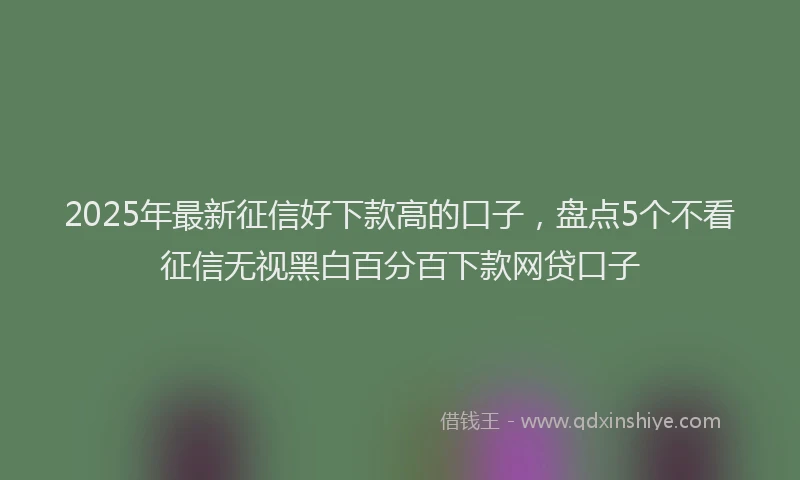 2025年最新征信好下款高的口子，盘点5个不看征信无视黑白百分百下款网贷口子