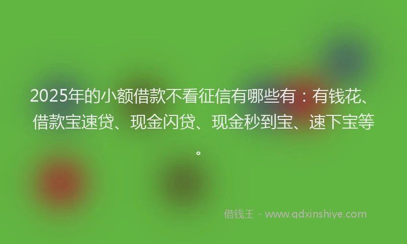 2025年的小额借款不看征信有哪些有：有钱花、借款宝速贷、现金闪贷、现金秒到宝、速下宝等。