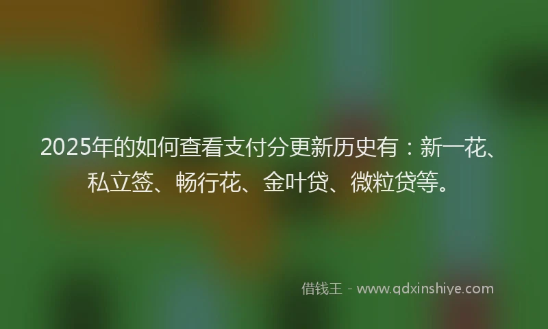 2025年的如何查看支付分更新历史有：新一花、私立签、畅行花、金叶贷、微粒贷等。