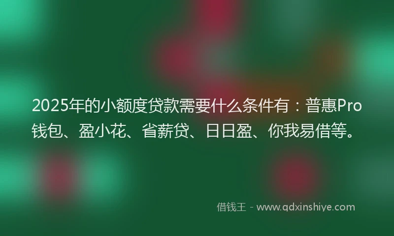 2025年的小额度贷款需要什么条件有：普惠Pro钱包、盈小花、省薪贷、日日盈、你我易借等。