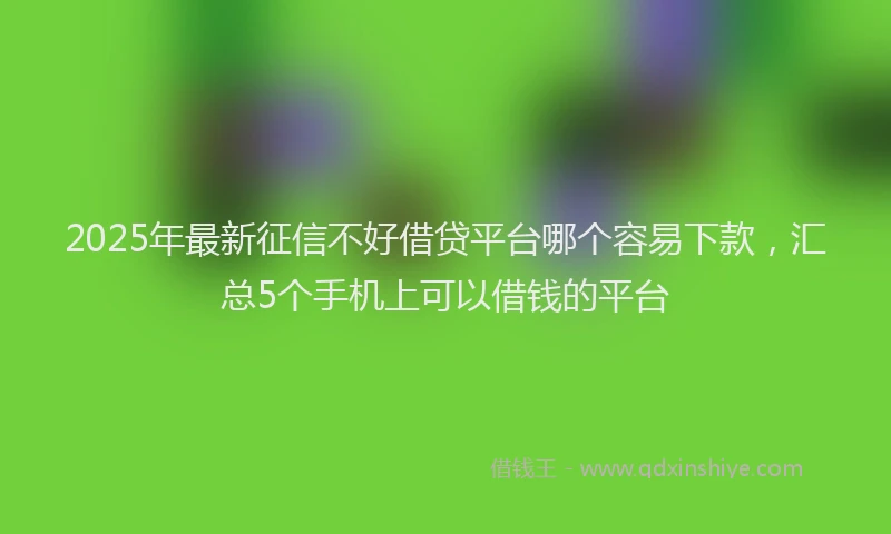 2025年最新征信不好借贷平台哪个容易下款，汇总5个手机上可以借钱的平台