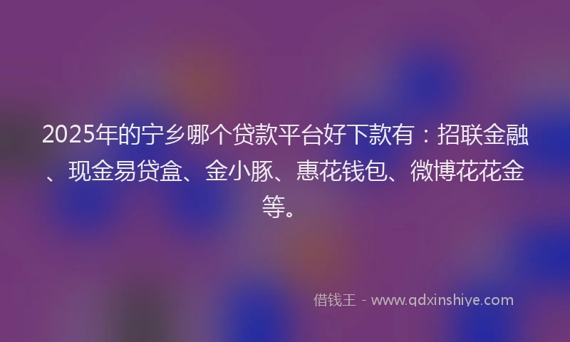 2025年的宁乡哪个贷款平台好下款有：招联金融、现金易贷盒、金小豚、惠花钱包、微博花花金等。