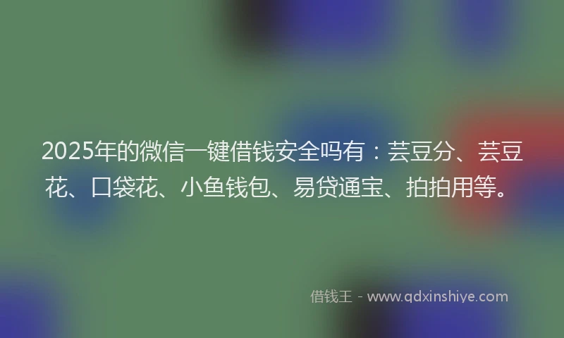 2025年的微信一键借钱安全吗有：芸豆分、芸豆花、口袋花、小鱼钱包、易贷通宝、拍拍用等。