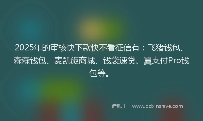 2025年的审核快下款快不看征信有：飞猪钱包、森森钱包、麦凯旋商城、钱袋速贷、翼支付Pro钱包等。