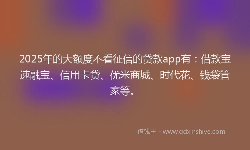 2025年的大额度不看征信的贷款app有：借款宝速融宝、信用卡贷、优米商城、时代花、钱袋管家等。