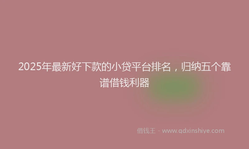 2025年最新好下款的小贷平台排名，归纳五个靠谱借钱利器