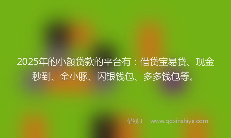 2025年的小额贷款的平台有：借贷宝易贷、现金秒到、金小豚、闪银钱包、多多钱包等。