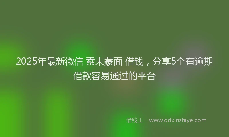 2025年最新微信 素未蒙面 借钱，分享5个有逾期借款容易通过的平台