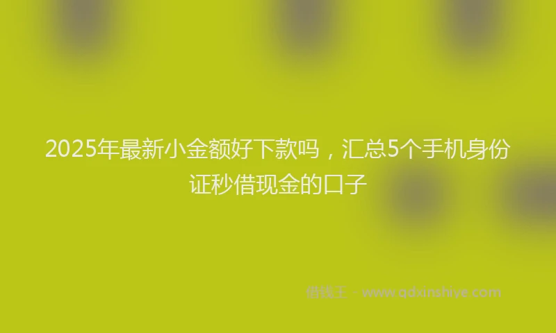2025年最新小金额好下款吗，汇总5个手机身份证秒借现金的口子
