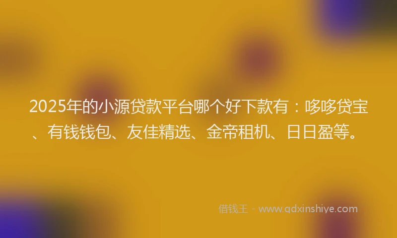 2025年的小源贷款平台哪个好下款有：哆哆贷宝、有钱钱包、友佳精选、金帝租机、日日盈等。