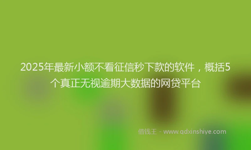 2025年最新小额不看征信秒下款的软件，概括5个真正无视逾期大数据的网贷平台