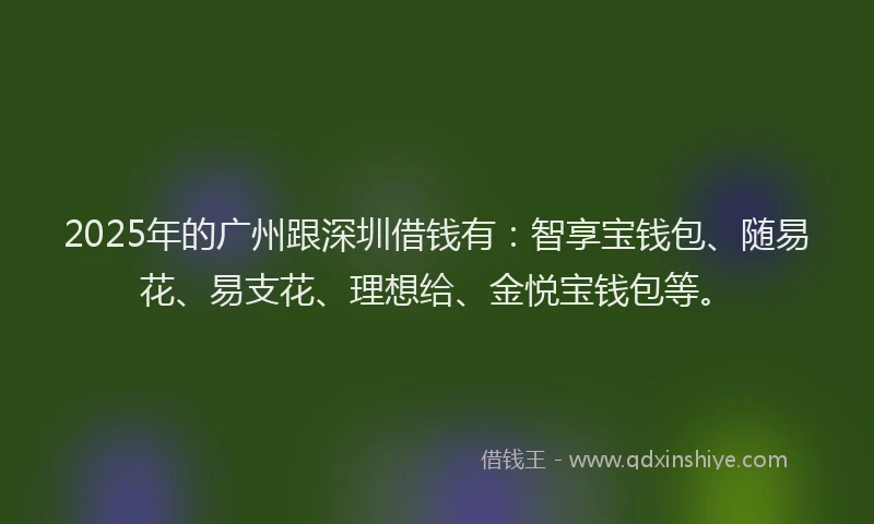 2025年的广州跟深圳借钱有：智享宝钱包、随易花、易支花、理想给、金悦宝钱包等。