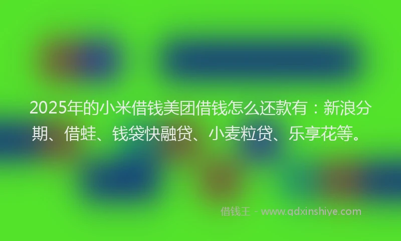 2025年的小米借钱美团借钱怎么还款有：新浪分期、借蛙、钱袋快融贷、小麦粒贷、乐享花等。