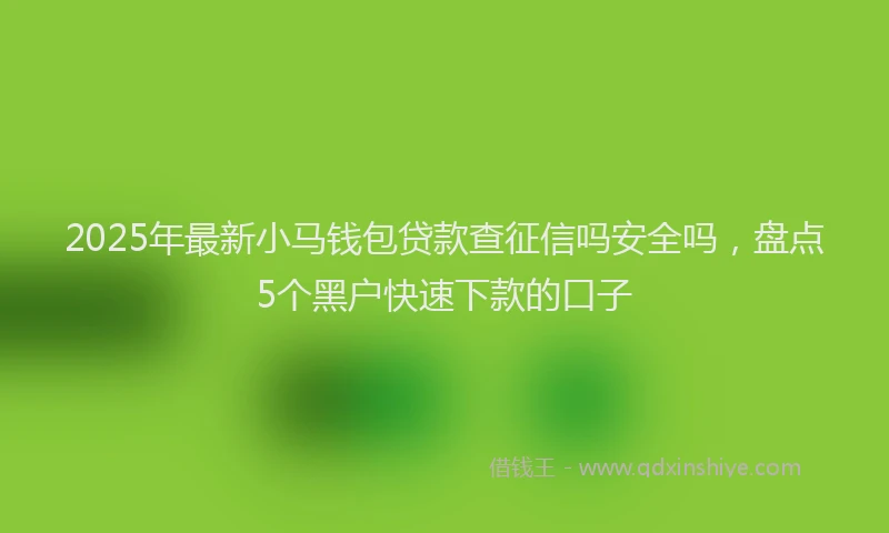 2025年最新小马钱包贷款查征信吗安全吗，盘点5个黑户快速下款的口子