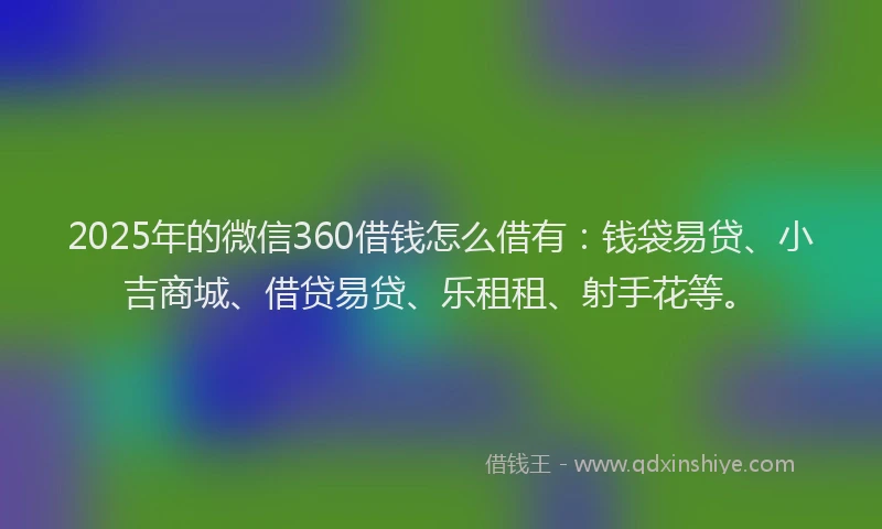 2025年的微信360借钱怎么借有：钱袋易贷、小吉商城、借贷易贷、乐租租、射手花等。
