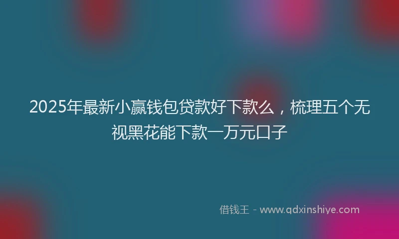 2025年最新小赢钱包贷款好下款么，梳理五个无视黑花能下款一万元口子