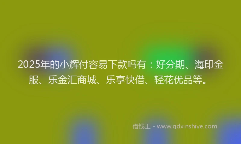 2025年的小辉付容易下款吗有：好分期、海印金服、乐金汇商城、乐享快借、轻花优品等。
