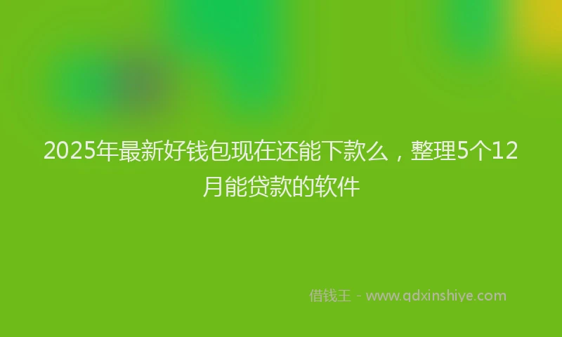 2025年最新好钱包现在还能下款么，整理5个12月能贷款的软件
