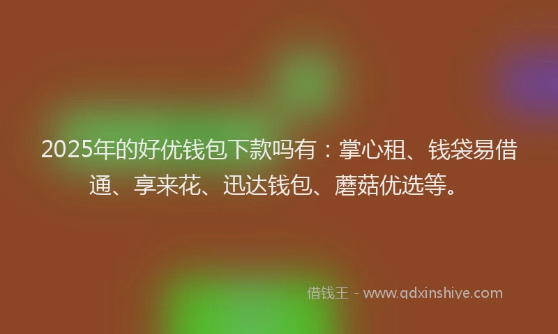 2025年的好优钱包下款吗有：掌心租、钱袋易借通、享来花、迅达钱包、蘑菇优选等。