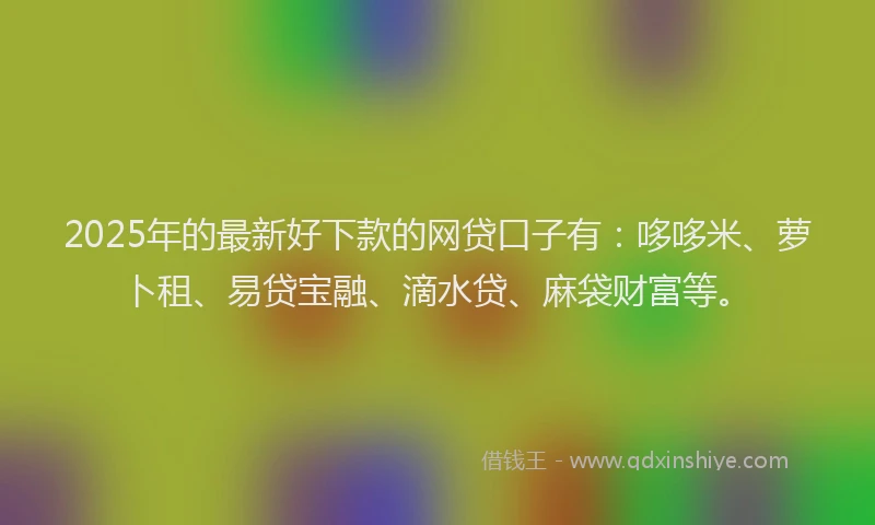 2025年的最新好下款的网贷口子有：哆哆米、萝卜租、易贷宝融、滴水贷、麻袋财富等。