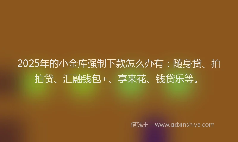 2025年的小金库强制下款怎么办有：随身贷、拍拍贷、汇融钱包+、享来花、钱贷乐等。