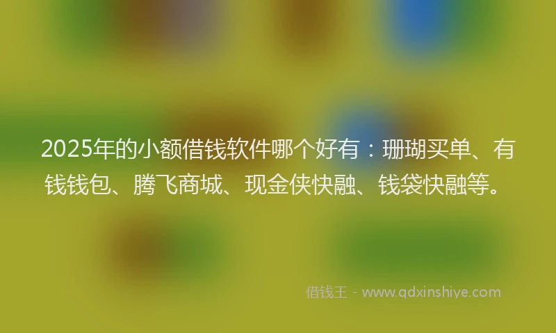2025年的小额借钱软件哪个好有：珊瑚买单、有钱钱包、腾飞商城、现金侠快融、钱袋快融等。