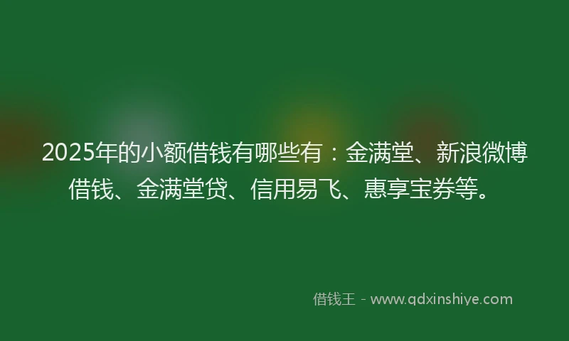 2025年的小额借钱有哪些有：金满堂、新浪微博借钱、金满堂贷、信用易飞、惠享宝券等。