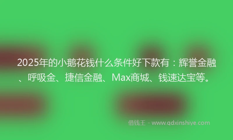 2025年的小鹅花钱什么条件好下款有：辉誉金融、呼吸金、捷信金融、Max商城、钱速达宝等。