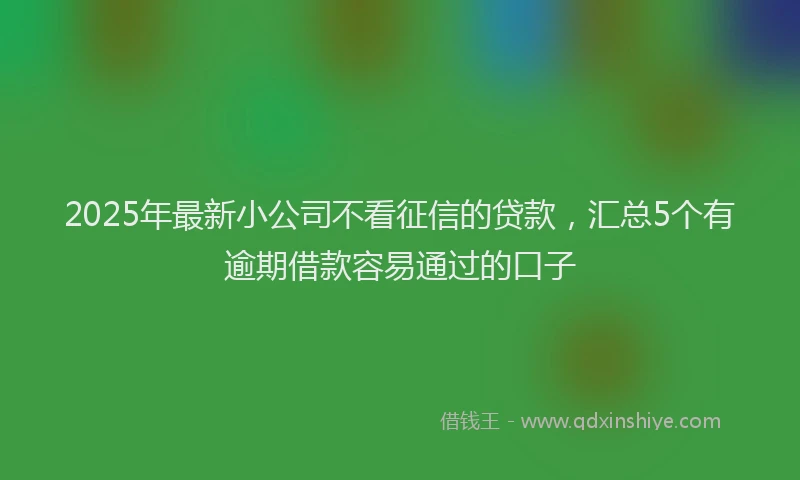 2025年最新小公司不看征信的贷款，汇总5个有逾期借款容易通过的口子