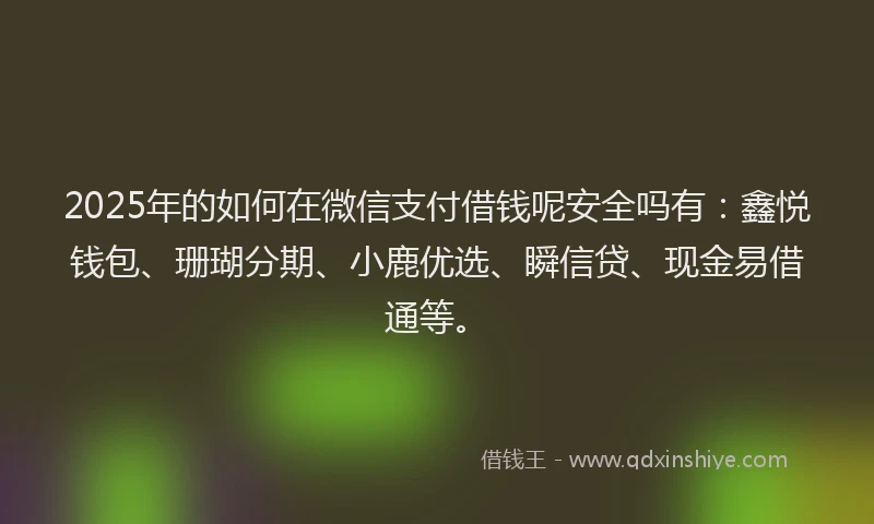 2025年的如何在微信支付借钱呢安全吗有：鑫悦钱包、珊瑚分期、小鹿优选、瞬信贷、现金易借通等。