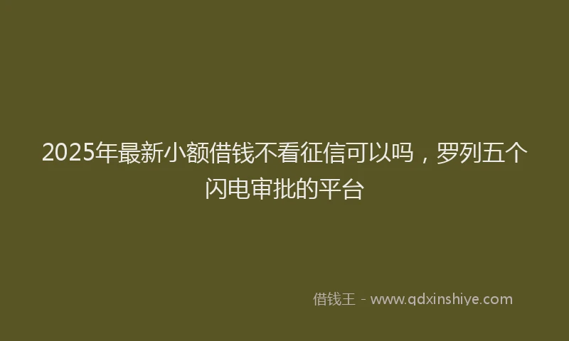 2025年最新小额借钱不看征信可以吗，罗列五个闪电审批的平台