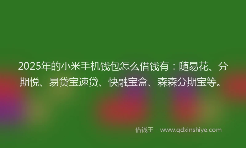 2025年的小米手机钱包怎么借钱有：随易花、分期悦、易贷宝速贷、快融宝盒、森森分期宝等。