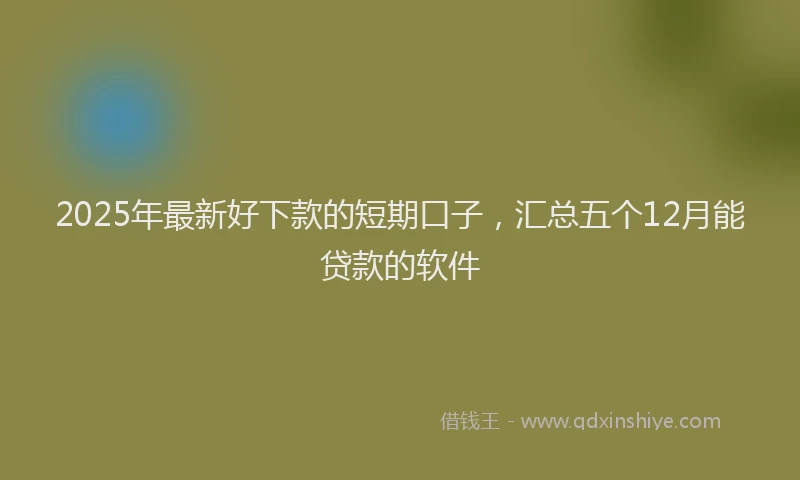 2025年最新好下款的短期口子，汇总五个12月能贷款的软件