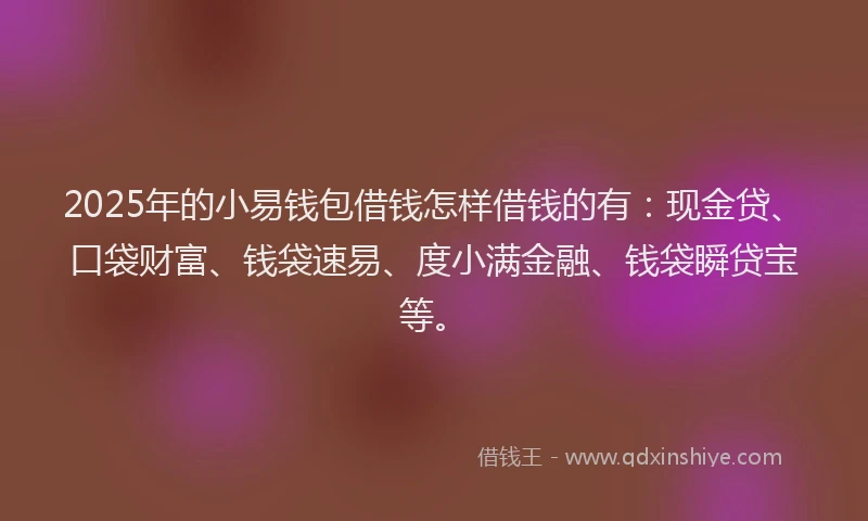 2025年的小易钱包借钱怎样借钱的有：现金贷、口袋财富、钱袋速易、度小满金融、钱袋瞬贷宝等。