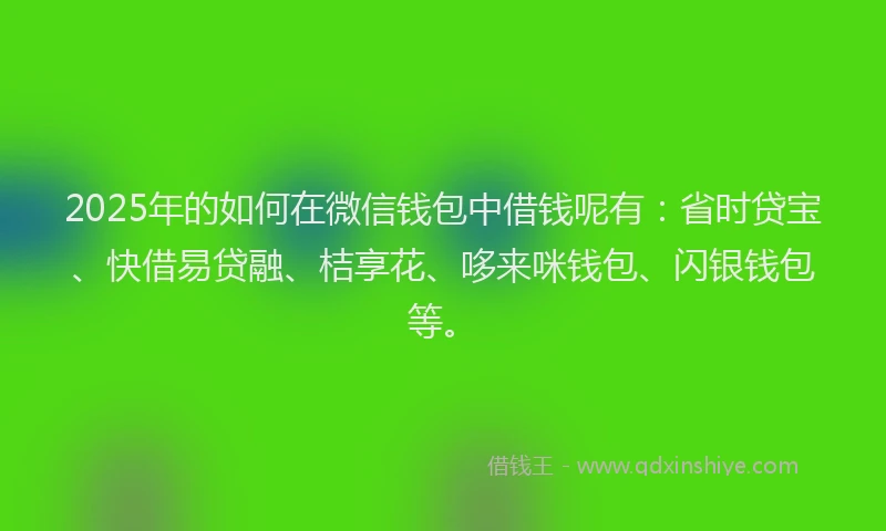 2025年的如何在微信钱包中借钱呢有：省时贷宝、快借易贷融、桔享花、哆来咪钱包、闪银钱包等。