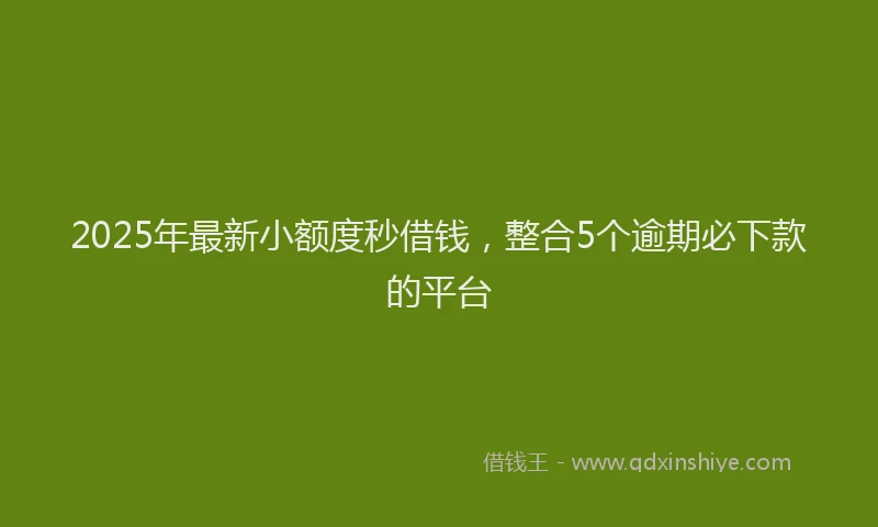 2025年最新小额度秒借钱，整合5个逾期必下款的平台
