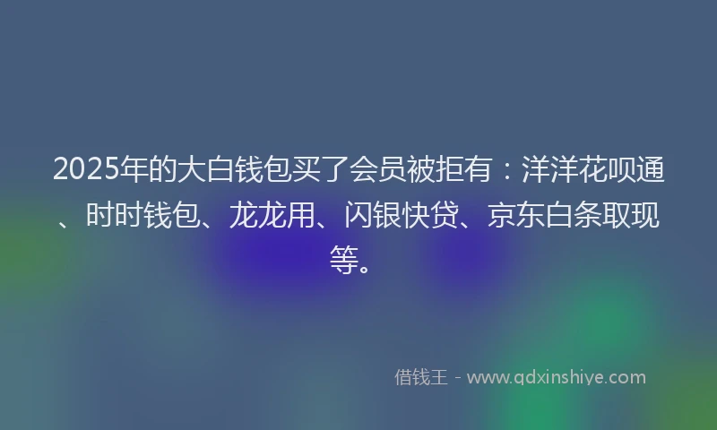 2025年的大白钱包买了会员被拒有：洋洋花呗通、时时钱包、龙龙用、闪银快贷、京东白条取现等。