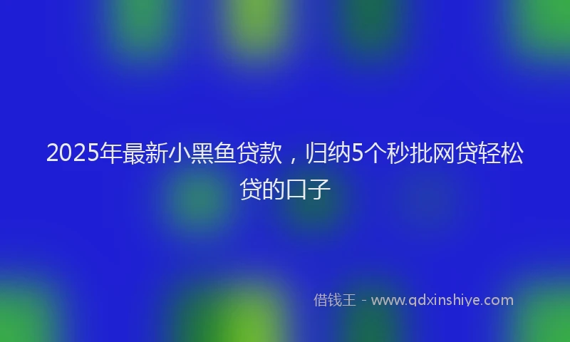 2025年最新小黑鱼贷款，归纳5个秒批网贷轻松贷的口子