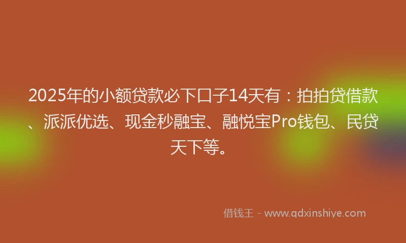 2025年的小额贷款必下口子14天有：拍拍贷借款、派派优选、现金秒融宝、融悦宝Pro钱包、民贷天下等。