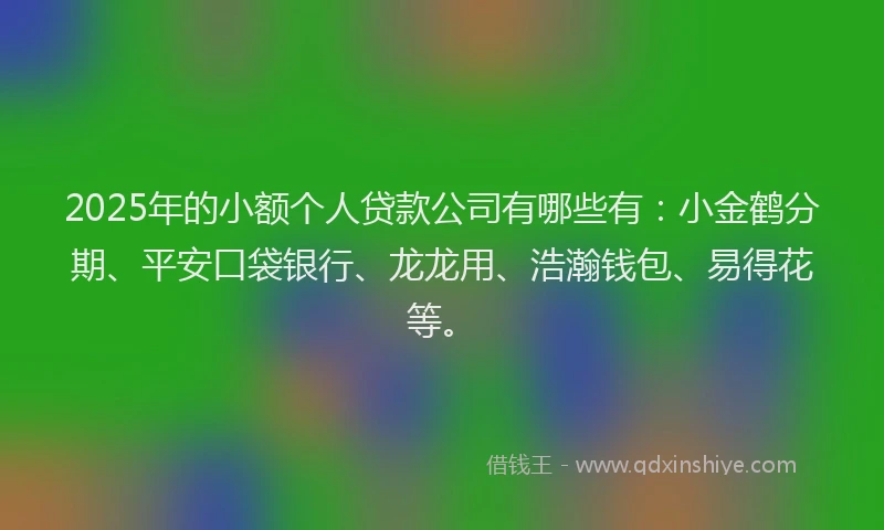 2025年的小额个人贷款公司有哪些有：小金鹤分期、平安口袋银行、龙龙用、浩瀚钱包、易得花等。