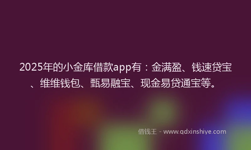 2025年的小金库借款app有：金满盈、钱速贷宝、维维钱包、甄易融宝、现金易贷通宝等。